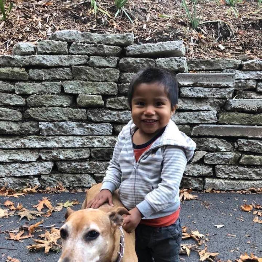 Meet your Posher, Louise